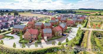 ADVERTORIAL: Cussins' Meadow Hill in Throckley offers exclusive deals for first-time buyers and NHS workers