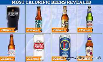 Most calorific beers REVEALED amid calls for nutritional info on beer taps