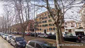 Arrivano le potature dei platani fuori stagione: "Erano attese da 15 anni"