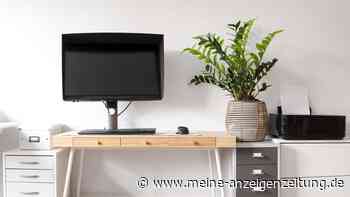 Ein Anschluss für fast alles: Warum Sie auf einen Monitor mit USB-C umsteigen sollten