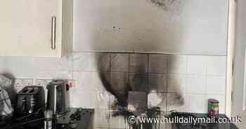 Dog rescued from house fire after starting blaze by 'turning on the hob'