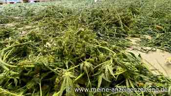 Cannabis-Gesetz lässt auf sich warten - Vorschlag „in Kürze“