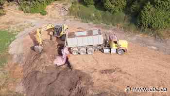 B.C. farmer fined $22K for illegal slaughter-waste dump moves it down the road