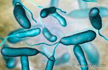 Vibrio Vulnificus Infections Expanding Their Range