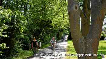 Von der Furcht, allein durch Salzgitters dunkle Wege zu gehen