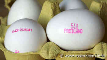 So entfernen Sie den lästigen Stempel auf Hühnereiern