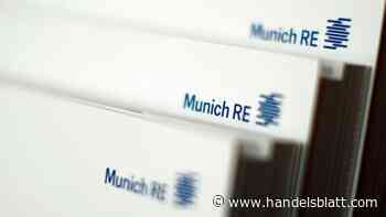 Rückversicherer: Münchener Rück tritt aus Klima-Allianz aus – Kartellrisiken