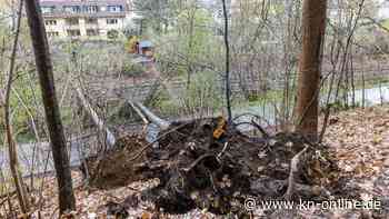Sturmtief Markus in Baden-Württemberg: Zugverkehr eingeschränkt - mehrere Verletzte