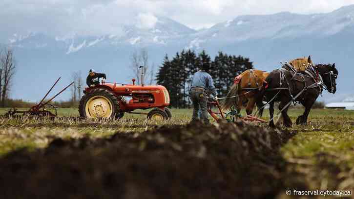 Greendale Acres to host Chilliwack Plowing Match Saturday