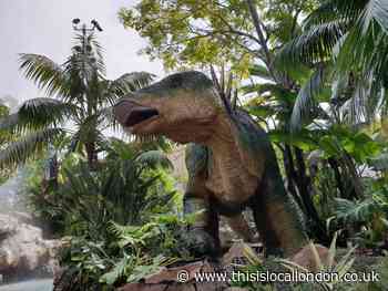 65 Million Years Old Face Lift: Layla Przeklasa Ursuline High School