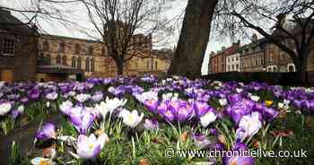 North East weather: Met Office forecasts showers and sunshine for first weekend of April