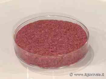 "È giusto vietare la carne sintetica". Il 67% degli italiani sta con il governo