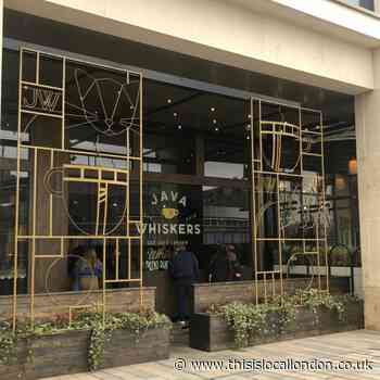 Java Whiskers: The Cat-tastic Café!, Kristina Adams, Gumley House