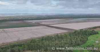 Irrigated Lagoona offered with leucaena bonus | Video