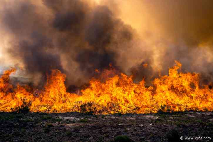 Bosque fire contained in northwest Albuquerque