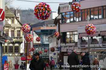 Warum in der Nicolaistraße in Höxter keine Blumenbälle hängen