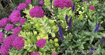 Finally, April rules day | In Fiona's Garden