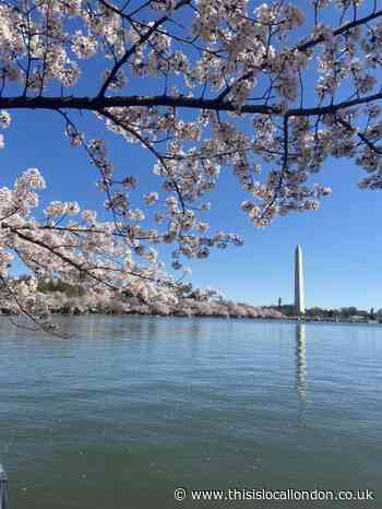 School trip to Washington DC, by Isabella Brooks, LEH