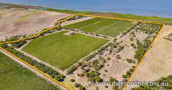 Vineyard on the edge of Lake Alexandrina offers lifestyle choice