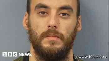 Niton man jailed for sex attack on dog walker in woods