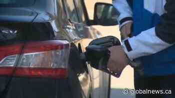 Carbon tax increase in Alberta should be offset ‘for most households’