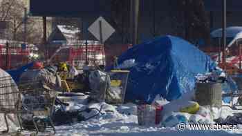 Proposed Edmonton encampment response plan aims to speed up housing process