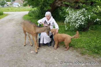 B.C. senior in legal battle over property