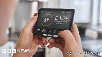 Rival energy firms lose court case over Bulb sale