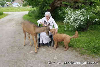 B.C. senior in legal battle over property