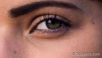 What's the Frame Rate of the Human Eye?