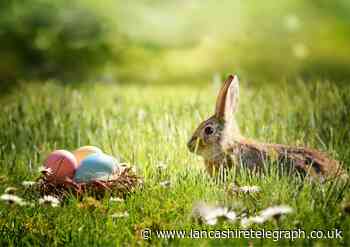 18 fun family activities on this Easter across Lancashire