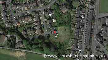 Six houses to be built in garden of existing Nelson home