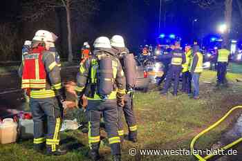 Auto kracht gegen Baum: Fahrer tödlich verletzt