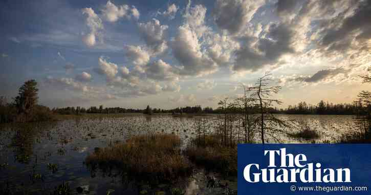 ‘Why mine so close?’: the fight to protect the pristine Okefenokee swamp