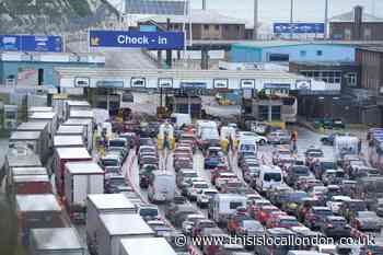 Port of Dover delays continue to be 'several hours' long