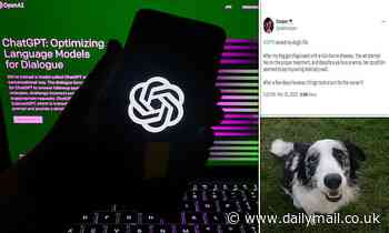 Saviour of humanity or disaster waiting to happen? MailOnline looks at successes and tragedies of AI