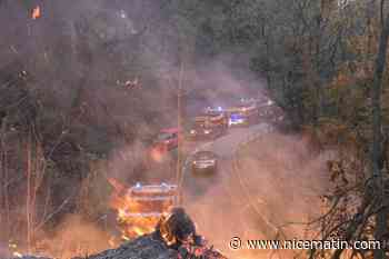 Les images du feu de forêt déclaré dans la nuit à Nice et Colomars
