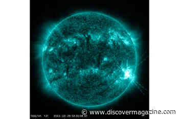 Watch as the Sun Unleashes a Powerful Flare That Sends Radiation Rocketing Toward Earth