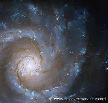 How Big Is the Observable Universe?