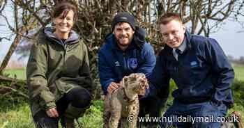 Arlo the terrier rescued after two days stuck in a badger sett