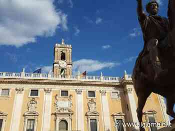 AAA Comune di Roma cerca veterinari con esperienza. Ma la paga...