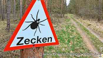 FSME durch Zecken: Wer seine Impfung auffrischen sollte