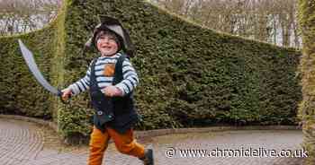 Five things you can do in Northumberland with the kids during the Easter holidays