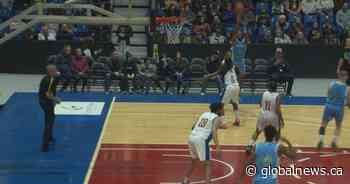 Pro basketball back in the Maritimes as Eastern Canadian Basketball League tips off