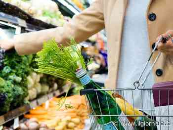 Allarme Listerya nei gamberetti: quali sono i lotti ritirati