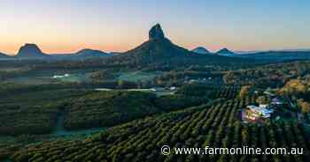 Stunning Glass House Mountains farms hit the market