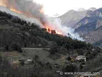 Tende: 5 hectares de flammes, une bergerie mise en protection