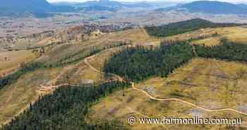 High rainfall cleared grazing country in Upper Murray for sale