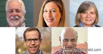 These Northwest suburban races have generated controversy ahead of Tuesday's election