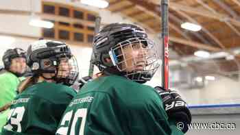 Rundle Women's Hockey League builds community through sport — no skating experience required
